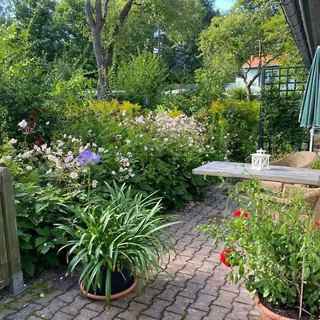 In Mit Grill Und Terrasse Apartment *