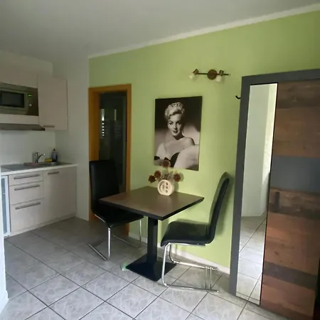 In Mit Grill Und Terrasse Apartment Bad Elster